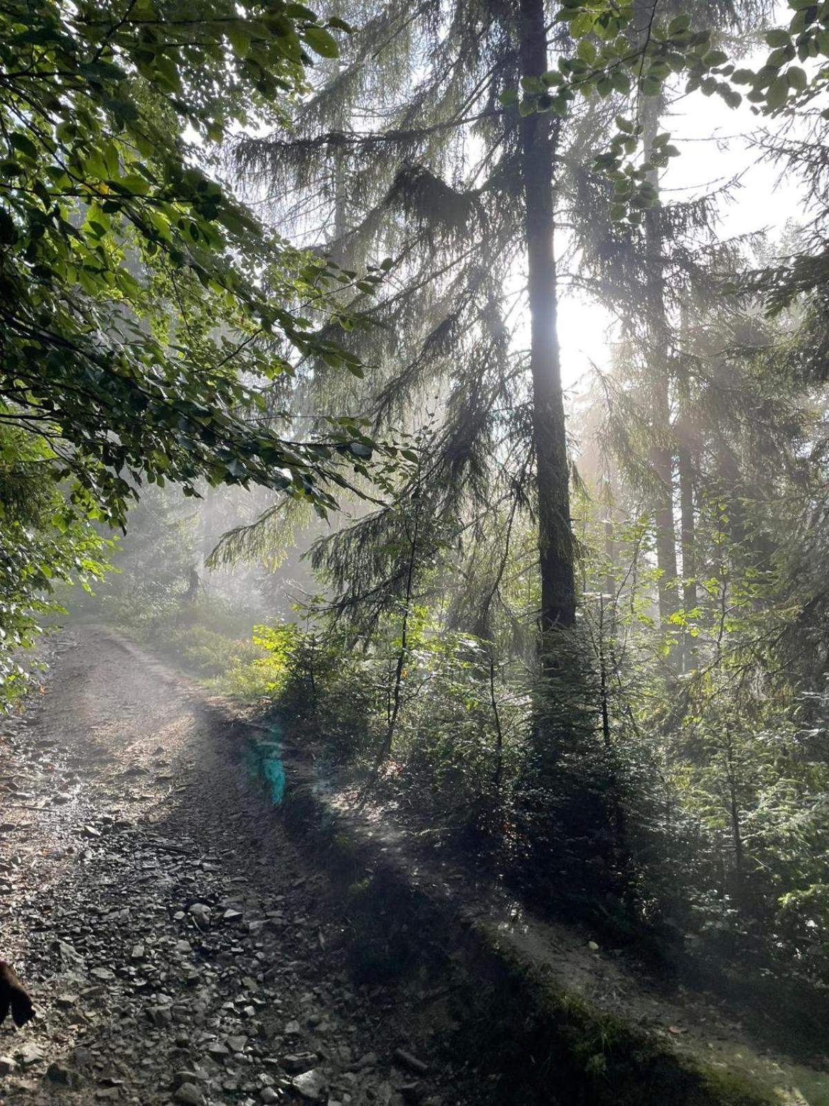 Szlak By Trafil Villa Poręba Wielka Exteriör bild