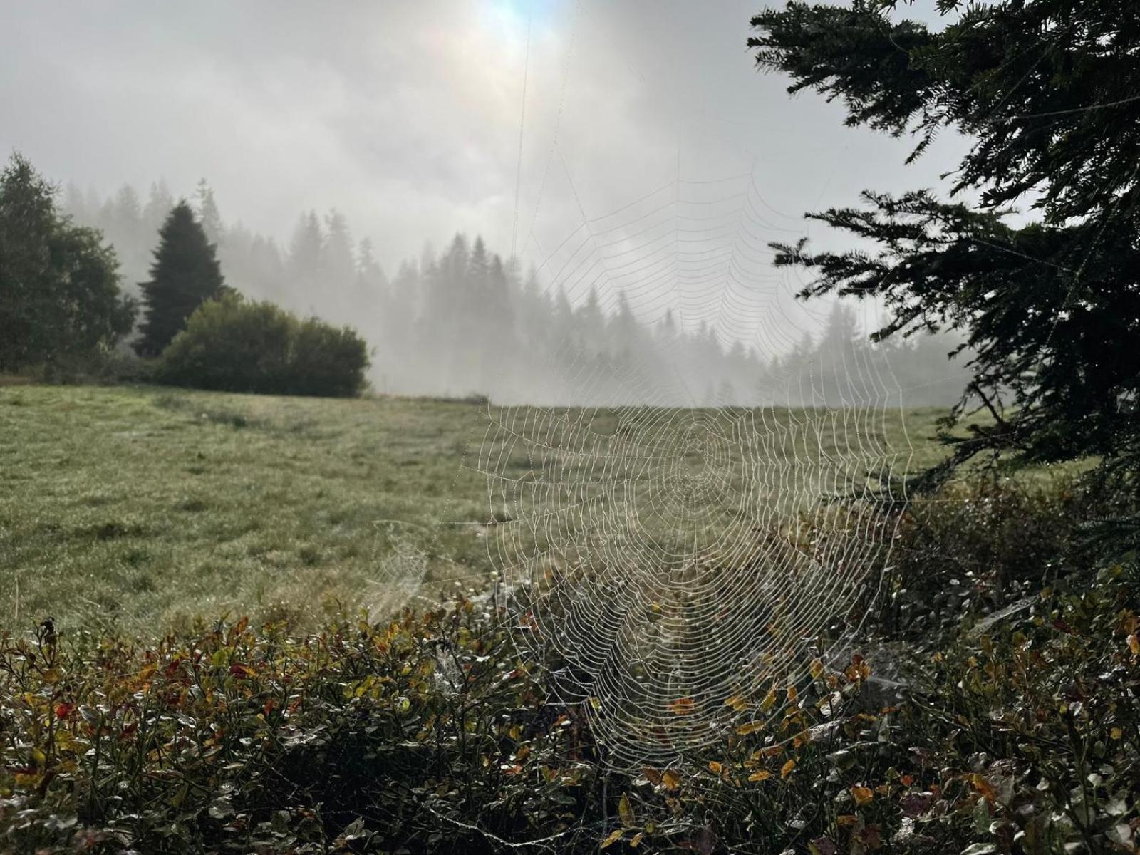 Szlak By Trafil Villa Poręba Wielka Exteriör bild